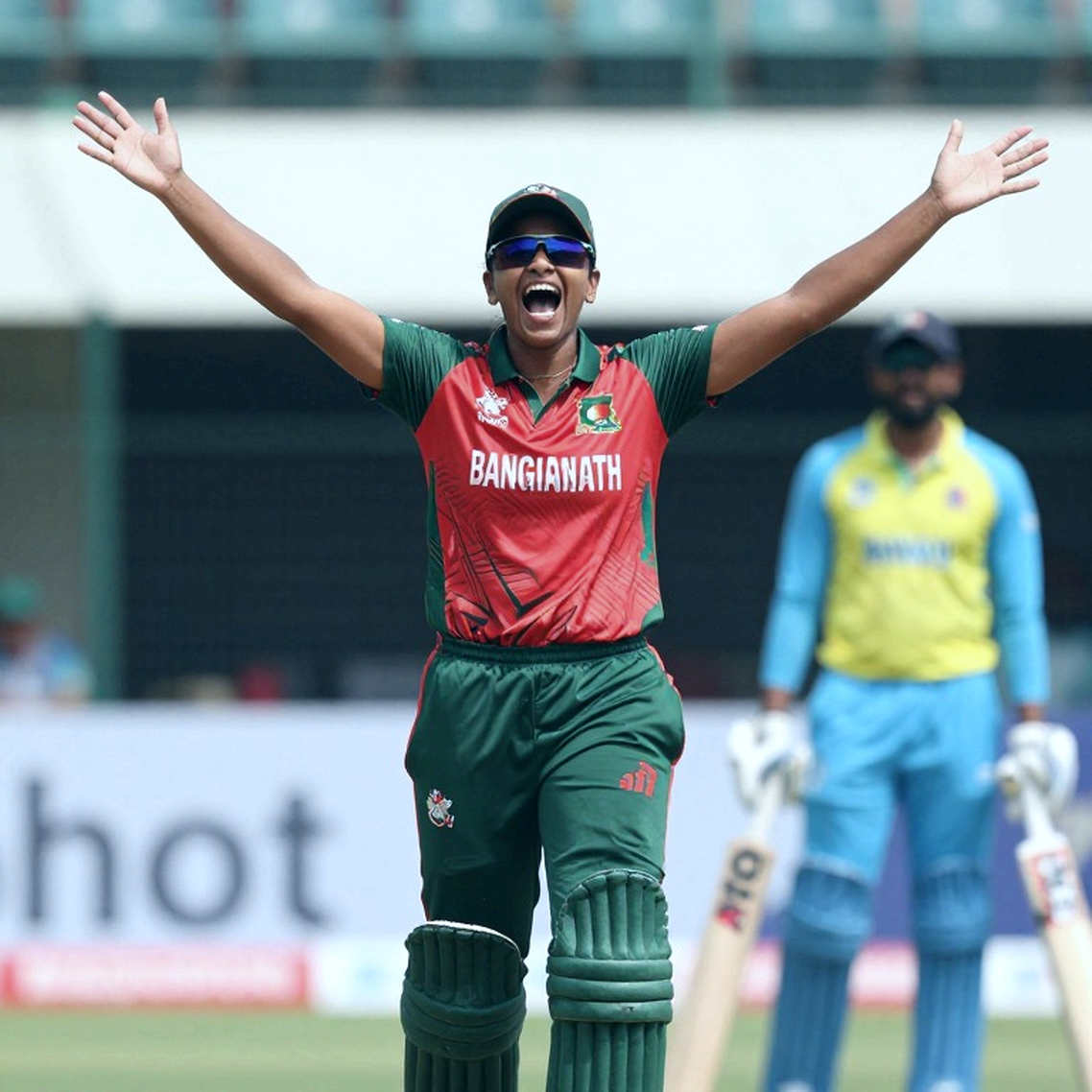 অপরিবর্তনীয় খাতা: যে বিশ্লেষণে প্রতিটি ঘর 'তথ্য নেই' হয়ে ফিরে এল
